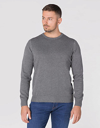 Pierre Cardin pullover from the Future Flex collection in gray