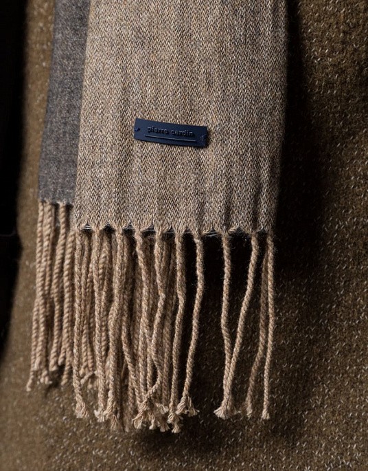 Pierre Cardin Future Flex scarf in brown