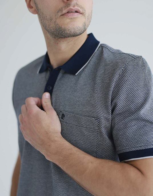 Pierre Cardin polo shirt in gray color