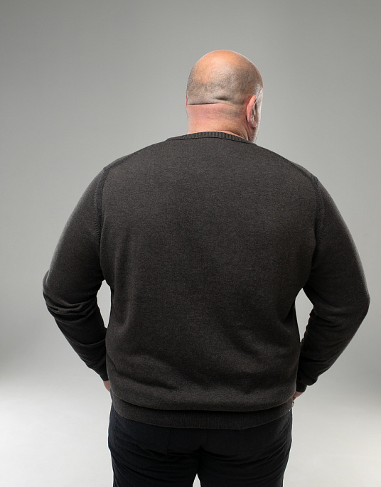 Pierre Cardin jumper from the Future Flex collection in big size