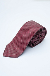 Pierre Cardin tie in gray color