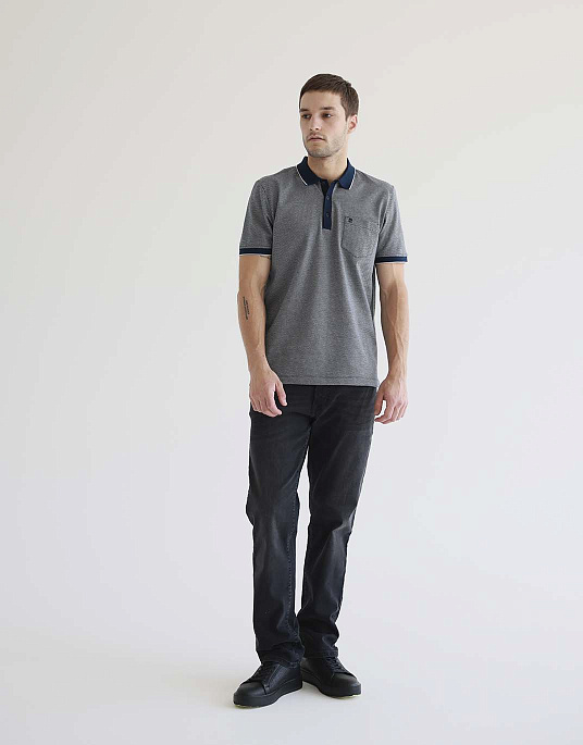 Pierre Cardin polo shirt in gray color