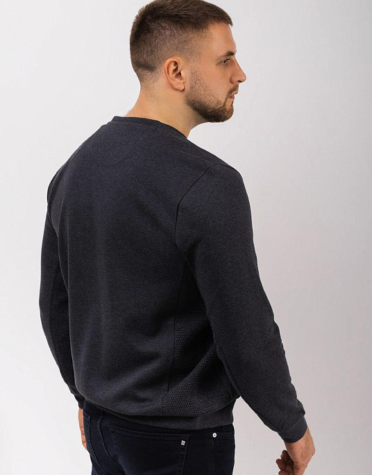 Pierre Cardin sweatshirt from the Future Flex collection in gray