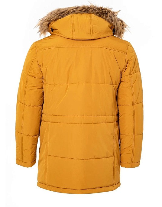 Куртка Pierre Cardin из коллекции Voyage в жёлтом цвете