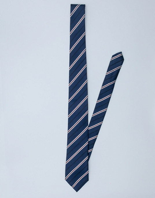 Pierre Cardin tie in blue color