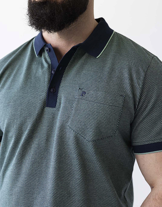 Pierre Cardin polo shirt in green