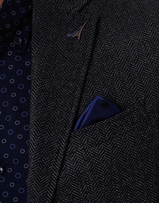 Pierre Cardin men's gray Le Bleu blazer