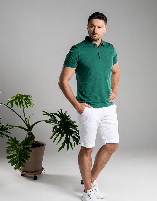 Polo Pierre Cardin from the Future Flex collection in green