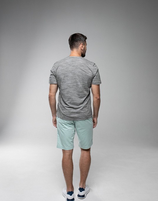 Pierre Cardin shorts from the Future Flex collection in light green