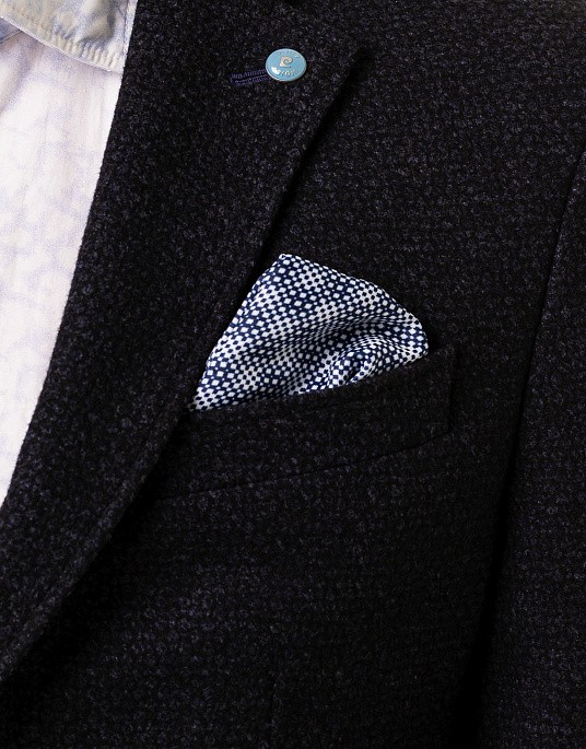 Пиджак  Pierre Cardin из коллекции Future Flex в синем цвете