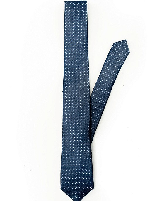 Pierre Cardin tie in blue color with print