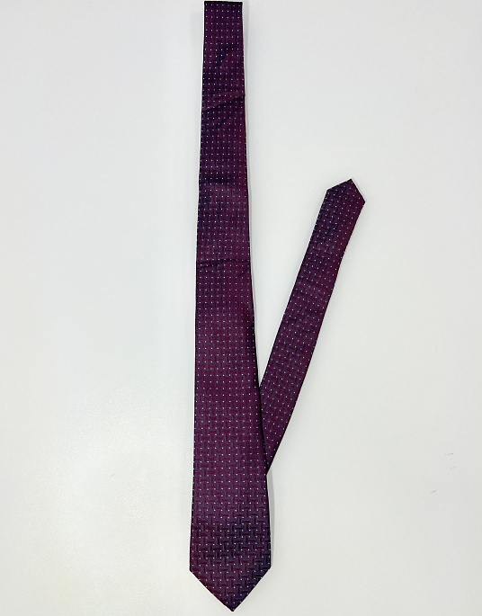 Pierre Cardin tie in burgundy color