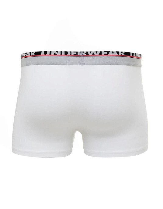 Pierre Cardin Boxer men's underwear