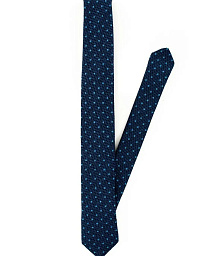 Pierre Cardin men's blue print tie