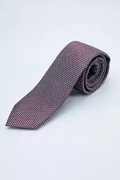 Pierre Cardin tie in a burgundy shade