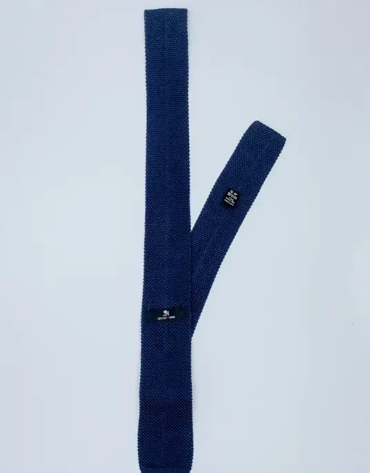 Pierre Cardin tie in blue color