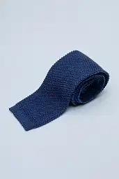 Pierre Cardin tie in blue color
