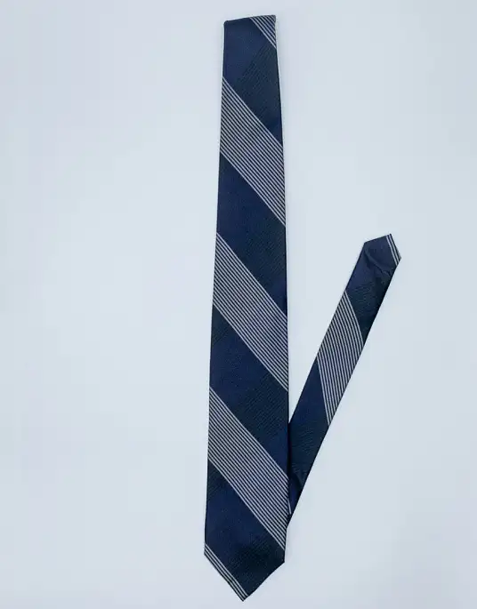Pierre Cardin tie in dark blue color