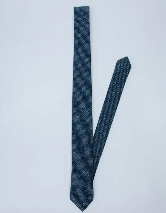 Pierre Cardin tie in blue color