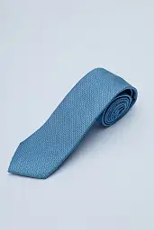 Pierre Cardin tie in blue color