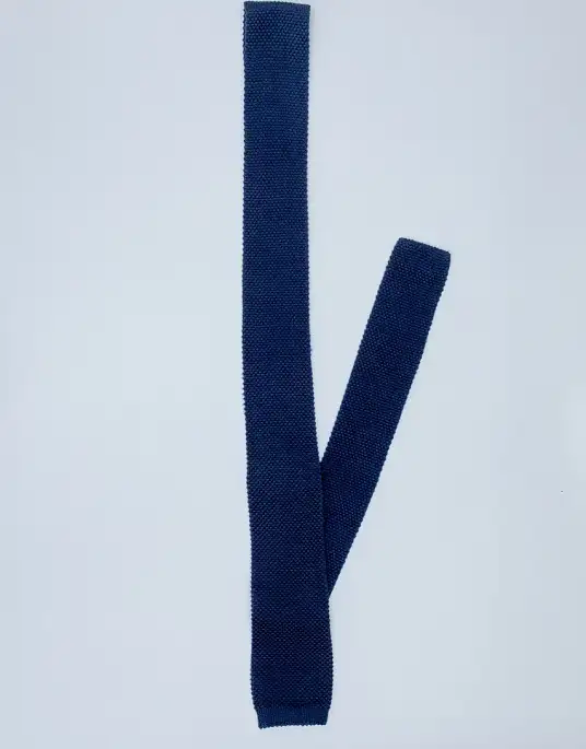 Pierre Cardin tie in blue color