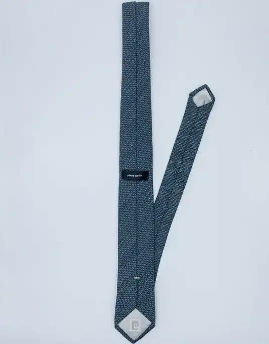 Pierre Cardin tie in blue color
