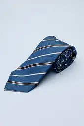 Pierre Cardin tie in blue color