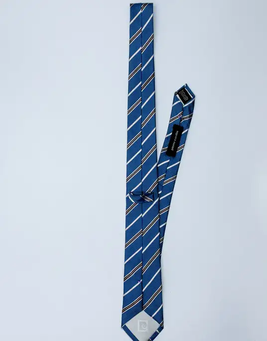 Pierre Cardin tie in blue color