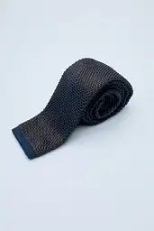 Pierre Cardin tie in blue-brown color