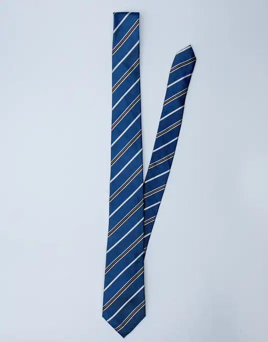 Pierre Cardin tie in blue color