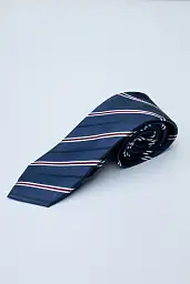 Краватка Pierre Cardin у синьому кольорі