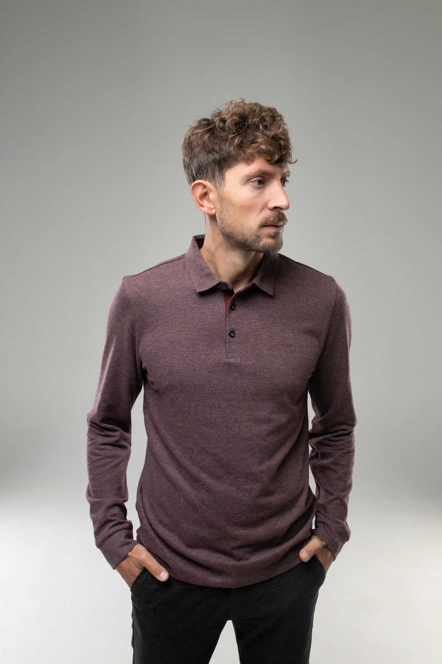 Pierre cardin long best sale sleeve polo shirt mens