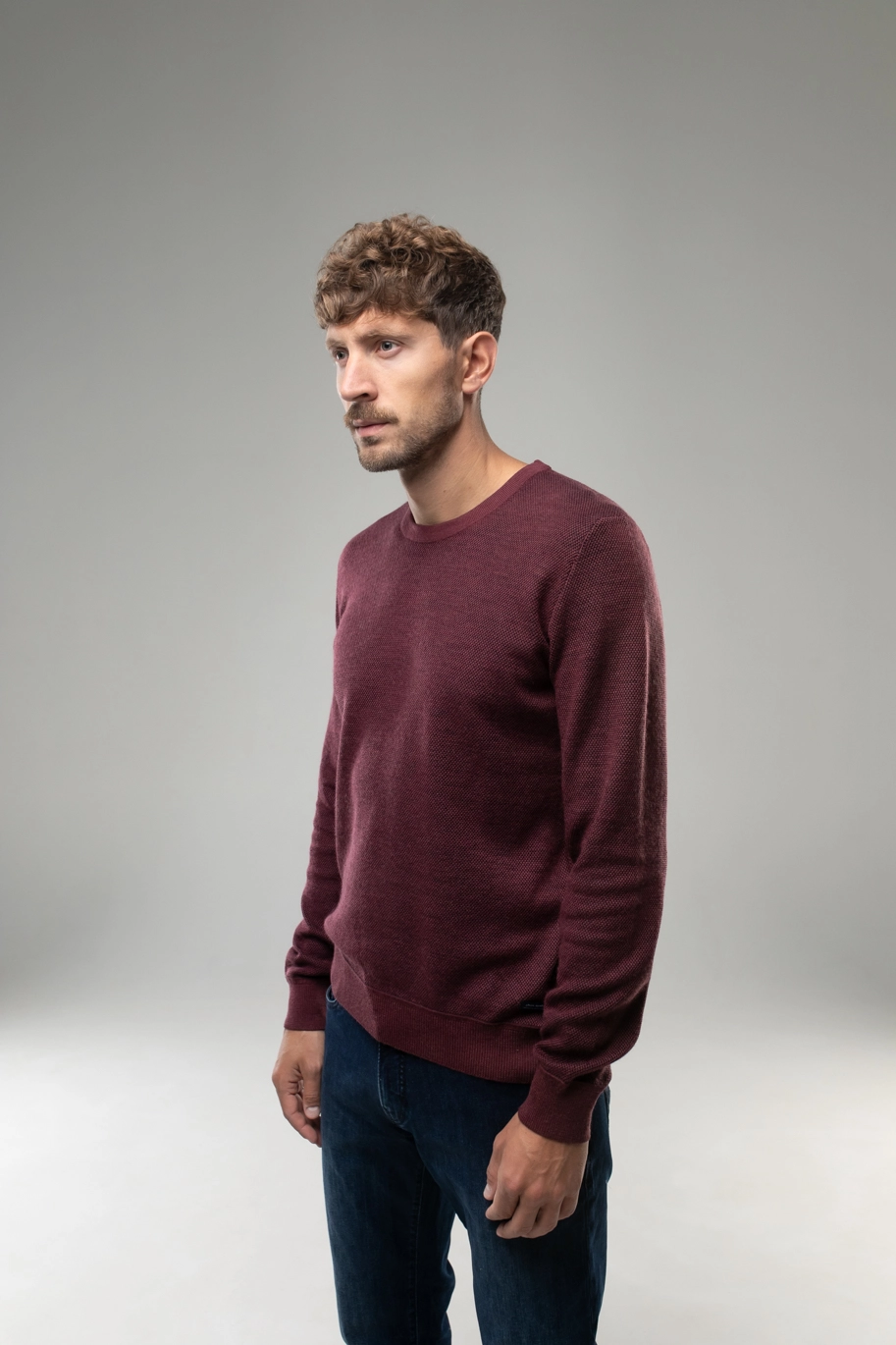 Pierre Cardin jumper from the Future Flex collection 5016 4303
